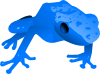 Endangered Blue Poison Dart Frog Clip Art