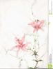 Free Pink Lily Clipart Image