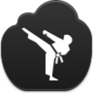 Karate Icon Image
