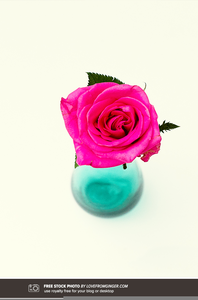 Free Photography Clipart Images Image