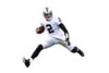Pryor Image