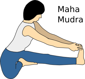 Yoga Position Maha Mudra Clip Art
