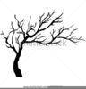 Apple Tree Clipart Black White Image