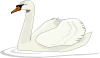 Swan Swimming Clip Art