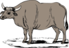 Gaur Clip Art