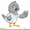 Clipart Of Pigeons Image
