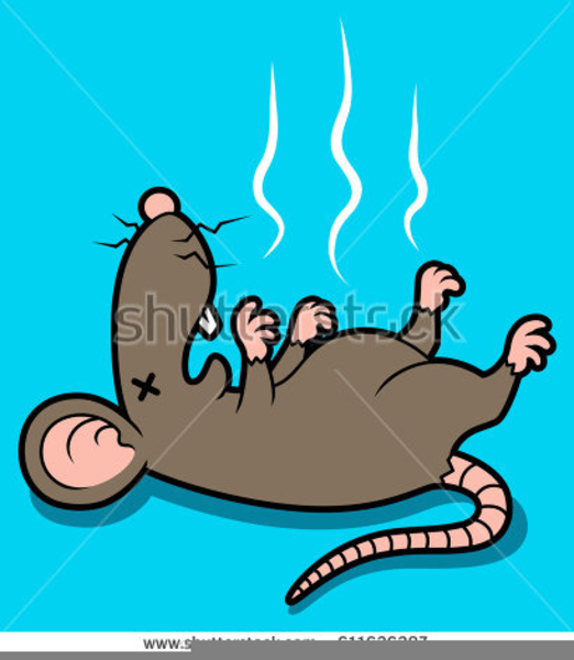 Dead Rat Clipart | Free Images at Clker.com - vector clip art online