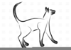 Clipart Cat Science Image