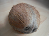 Coconut Image