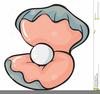 Oysters Clipart Image