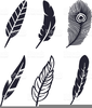 Turkey Feather Clipart Image