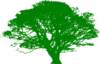 African Tree Green Clip Art