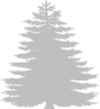 Short Pine Tree Clip Art