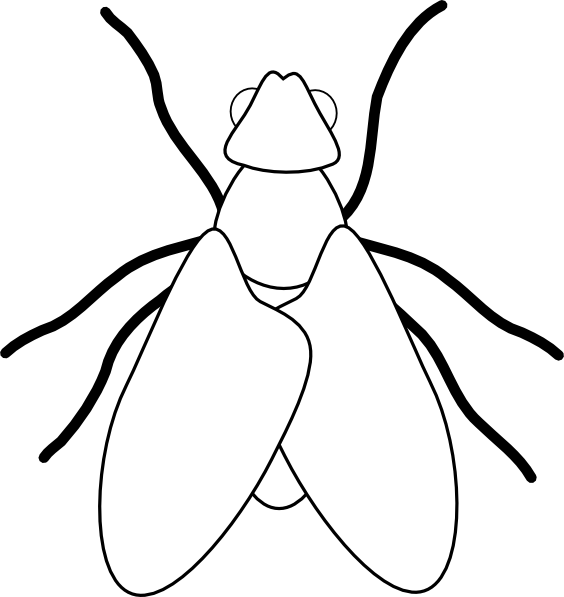 Fly Line Drawing Clip Art at Clker.com - vector clip art online