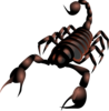 Scorpion Clip Art