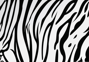 Tiger Stripe Pattern Clipart | Free Images at Clker.com - vector clip ...