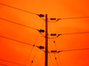 Power Lines Against Orange Sky Image