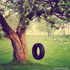 Tire Swing Photography Image