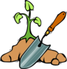 Grow Clip Art