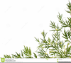 Free Clipart Images Herbs Image
