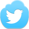 Twitter Bird Icon Image