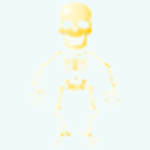 Skeleton Icon Image