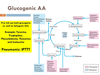 Threonine Amino Acid Image