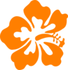 Orange Hisbiscus Clip Art