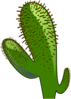 Cactus Cactus  Clip Art