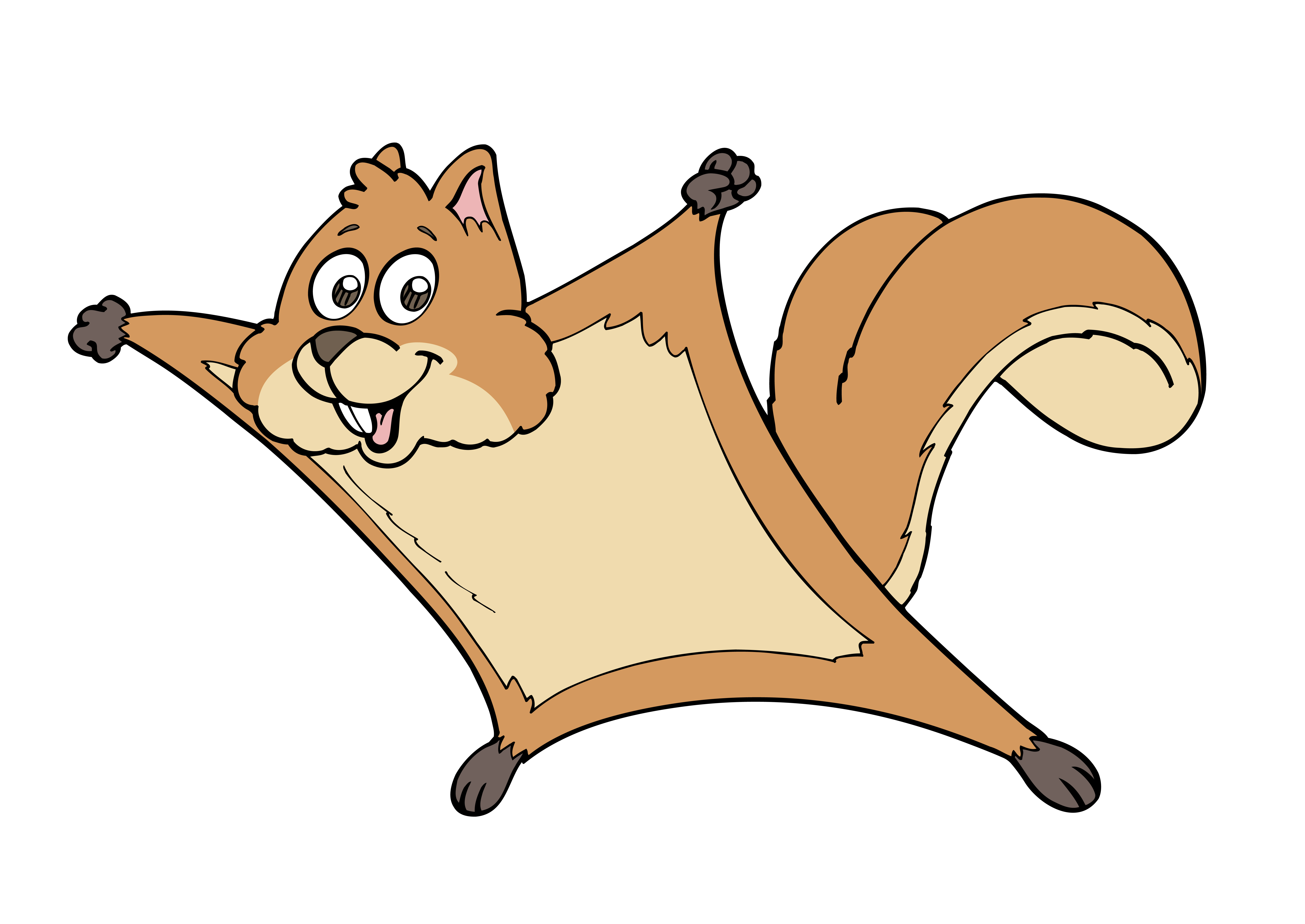 Squirrel Gifsterms Of Use - q4go5e4
