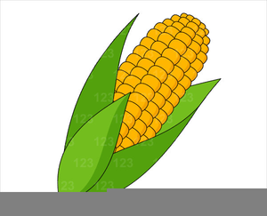 Clipart And Corn Image