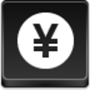 Yen Coin Icon Image