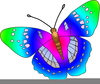 Clipart Pictures Of Butterflies Image