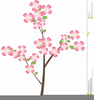Dogwood Clipart Graphics Image