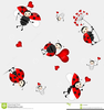 Borders Ladybug Clipart Image