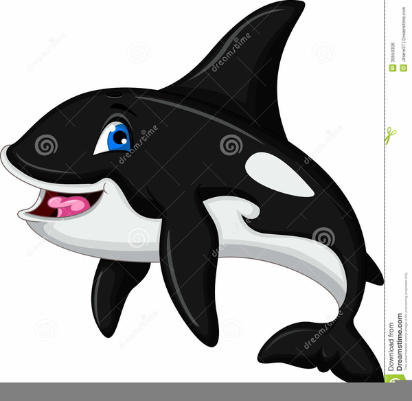 Featured image of post Orca Whale Clipart Choose any clipart that best suits your projects presentations or other design work