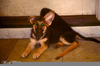 Dog Mutation Image