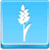 Wheet Icon Image