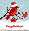 Red Cardinal Clipart Image