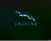 Jaguar Symbol Wallpaper Image