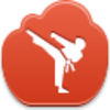 Karate Icon Image