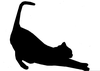 Clipart Cats Image