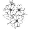 Free Clipart Drawings Of Flowers Image