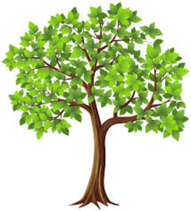 Tree Image