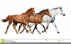 Herd Of Running Horses Clipart Image
