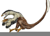 Deinonychus Feathers Image