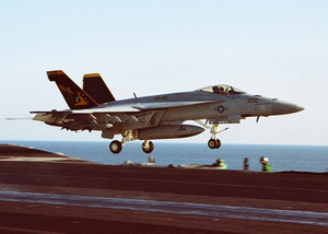 An F/a-18e Assigned To Strike Fighter Squadron One One Five (vfa-115) Image