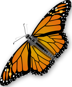 Free Free 143 Butterfly Monarch Svg SVG PNG EPS DXF File