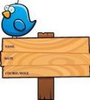 Chubby Blue Bird Standing Atop A Wooden Sign Image