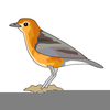 Clipart Of Animated Birds Image